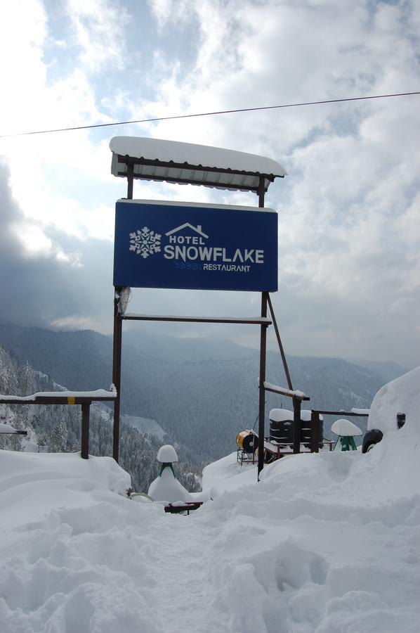 Hotel Snowflake Narkanda Εξωτερικό φωτογραφία